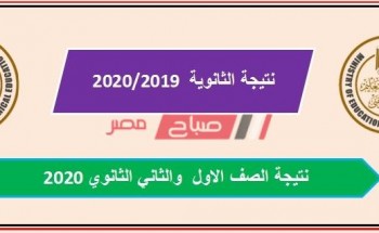 نتيجة شهادة الصف الاول والثاني الثانوي محافظة الوادي الجديد 2020