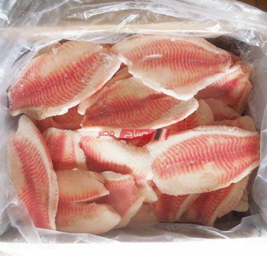 ننشر أسعار فيليه بلطي في أسواق الأسماك بالمحافظات