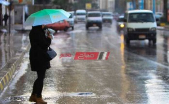 طقس الإسكندرية اليوم تساقط أمطار وبرودة شديدة تعرف على التفاصيل
