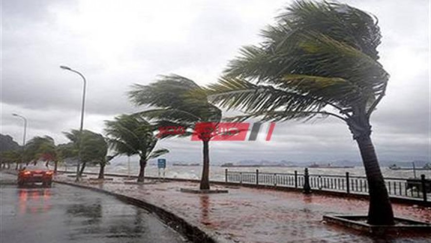 الطقس في الإسكندرية الآن تساقط أمطار ورياح شديدة وانخفاض فى درجات الحرارة