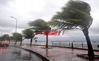 الطقس في الإسكندرية الآن تساقط أمطار ورياح شديدة وانخفاض فى درجات الحرارة