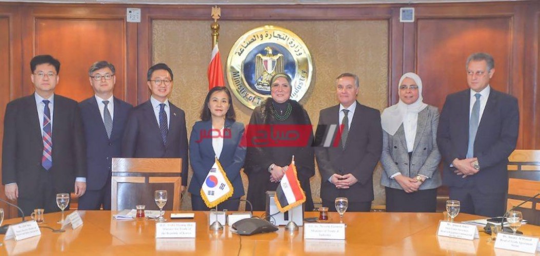 181 مشروعًا حجم استثمارات كوريا الجنوبية في مصر