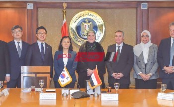 181 مشروعًا حجم استثمارات كوريا الجنوبية في مصر
