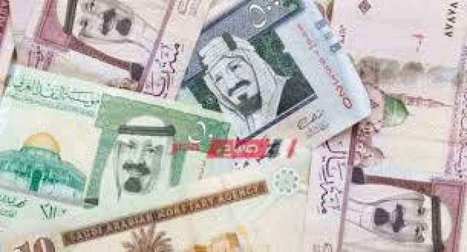 أسعار الريال السعودي اليوم الأحد 15-5-2022 حسب البنك المركزي المصري