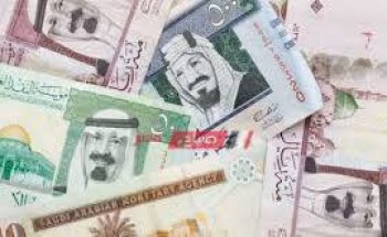 أسعار الريال السعودي اليوم الأحد 15-5-2022 حسب البنك المركزي المصري