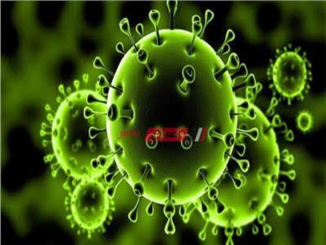 المغرب تسجل 71 إصابة جديدة بفيروس كورونا ليرتفع العدد إلى 534 حالة