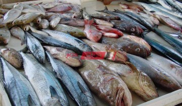 10 جنيهات سعر سمك حدادي في سوق العبور اليوم