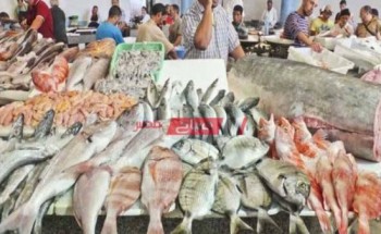 سمك الدنيس يرتفع لـ 100 جنيه في سوق العبور لجملة الأسماك