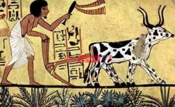 كيف ازدهرت الزراعة في مصر القديمة؟