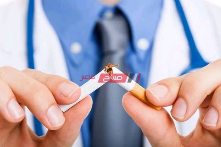 قواعد الإتيكيت الخاصة بالتدخين