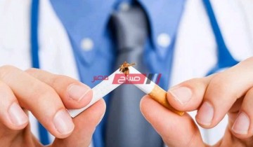 قواعد الإتيكيت الخاصة بالتدخين