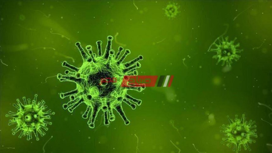 وزارة الصحة فحص 3 اَلاف حالة يوميا مشتبه في إصابتها بفيروس كورونا