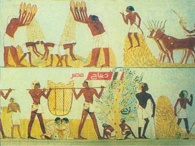 تعرف على مظاهر التجارة في مصر القديمة