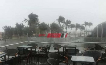 فيديو هطول أمطار غزيرة ورياح شديدة علي الإسكندرية