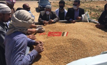 تموين مطروح تشرف على عمليات توريد القمح إلى صومعة الشمامة