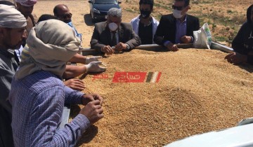 تموين مطروح تشرف على عمليات توريد القمح إلى صومعة الشمامة