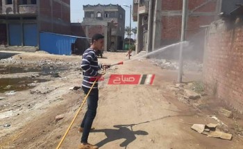 بمشاركة المجتمع المدنى استمرار أعمال تطهير وتعقيم شوارع مدينة كفر البطيخ بدمياط