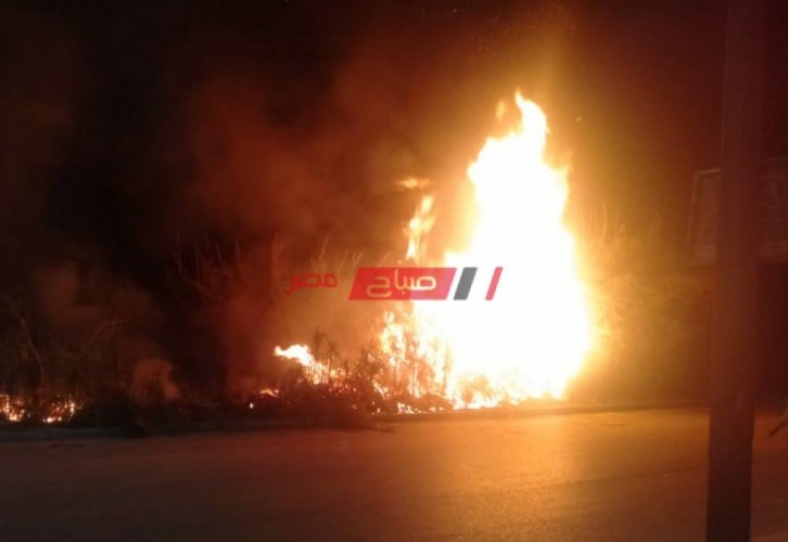 اندلاع حريق هائل في زراعات منطقة العنانية بدمياط