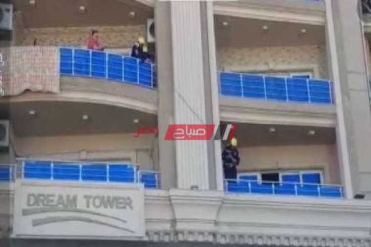 رجال الحماية المدنية تنقذ قط سقط من شرفة بالأسكندرية