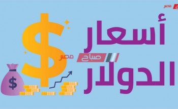 سعر الدولار الأمريكي اليوم السبت 30_5_2020 في مصر
