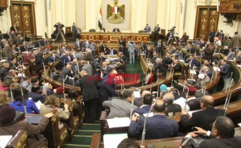 مجلس النواب يعلن إصابة عيد هيكل نائب المرج بفيروس كورونا