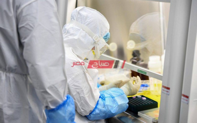 تعافي 10 حالات جديدة من فيروس كورونا فى مستشفى العجمي بالإسكندرية
