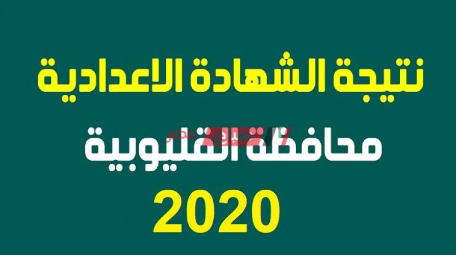 نتيجة الشهادة الإعدادية 2020 برقم جلوس الطالب الآن رابط بوابة محافظة القليوبية الإلكتروني