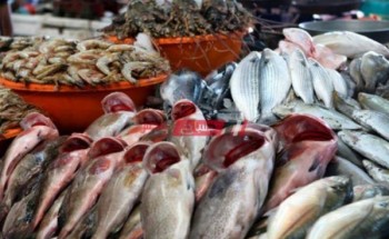 ننشر احدث أسعار السمك في الأسواق المصرية اليوم الإثنين 8-11-2021