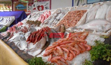 تفاصيل أسعار الأسماك اليوم الإثنين 11-4-2022 والموافق 10 رمضان في السوق المحلي