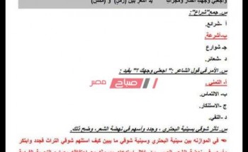 وزارة التعليم: إضافة تعديلات على نموذج إجابة امتحان اللغة العربية للثانوية العامة 2020
