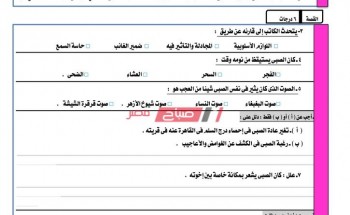 نموذج بوكليت فى اللغة العربية متوقع لطلاب الثانوية العامة 2020
