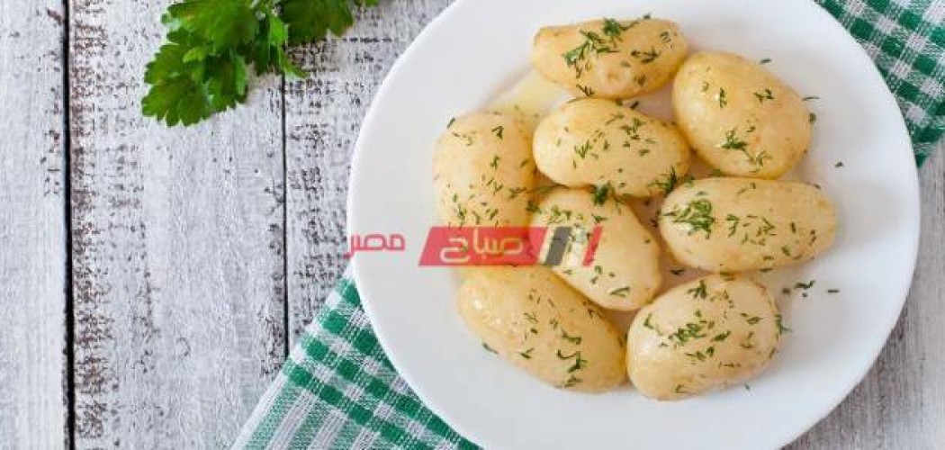طريقة سلطة البطاطس للرجيم سالي فؤاد
