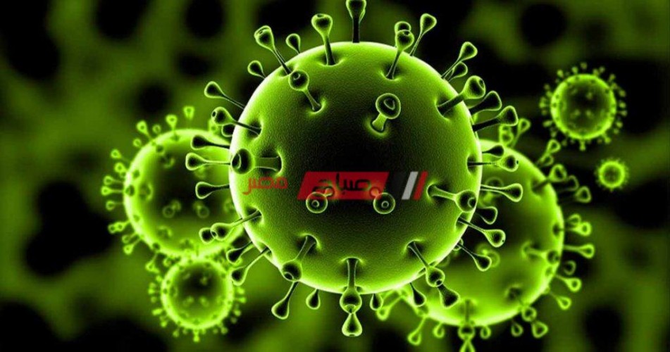 11 إصابة جديدة بفيروس كورونا المستجد اليوم السبت بدمياط
