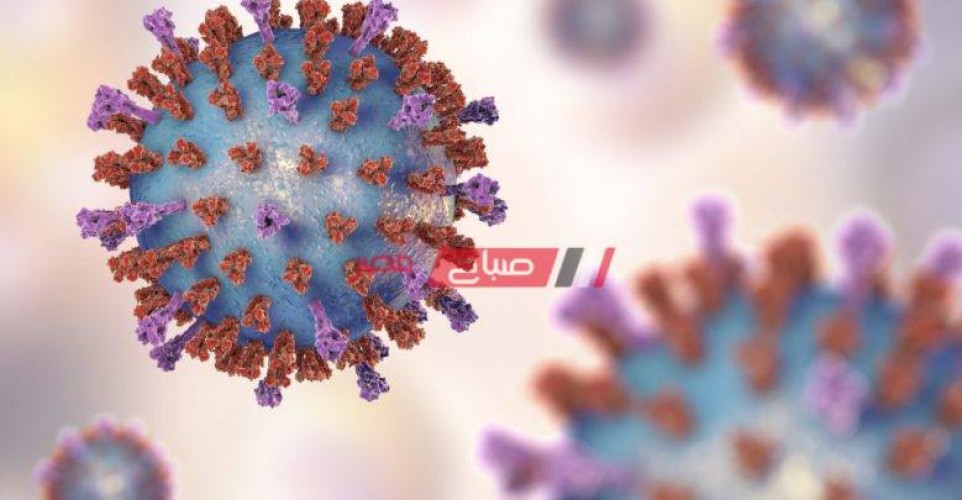 تعافي 1000 مصاب بكورونا في دمياط منذ بداية ظهور الفيروس