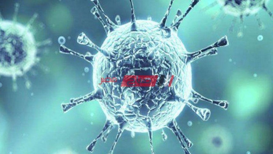 809 حالة إصابة بفيروس كورونا المستجد في دمياط منذ مارس الماضي