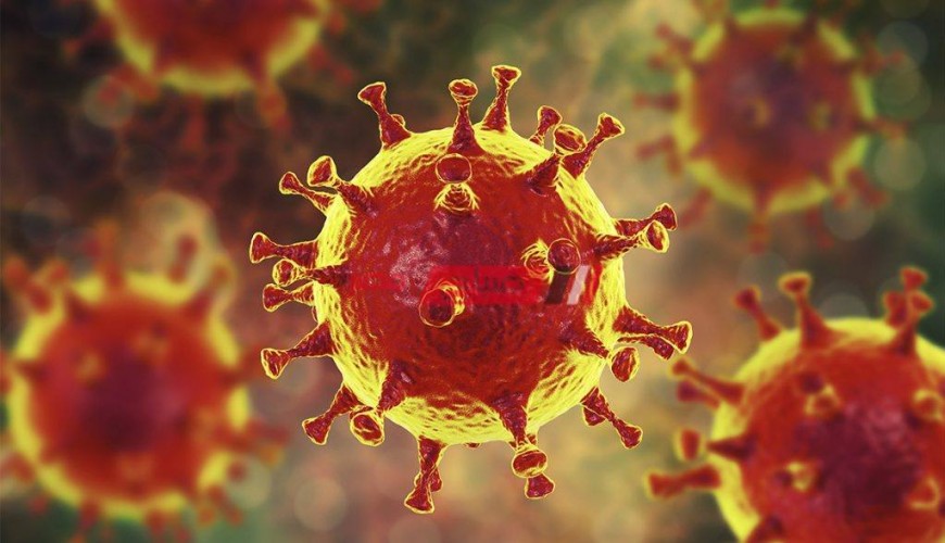 10 إصابات جديدة بفيروس كورونا المستجد خلال الـ 24 ساعة الأخيرة بدمياط