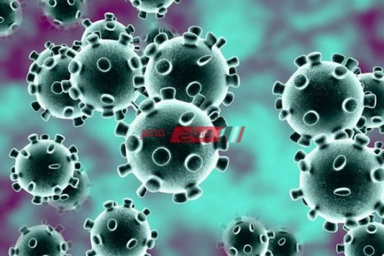 مصدر طبى يكشف: إصابة 12 طفلا بفيروس كورونا خلال يومين فى القليوبية