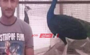 شاب مصرى بالكويت يضحى بحياته من أجل حماية مقر عملة من السرقة