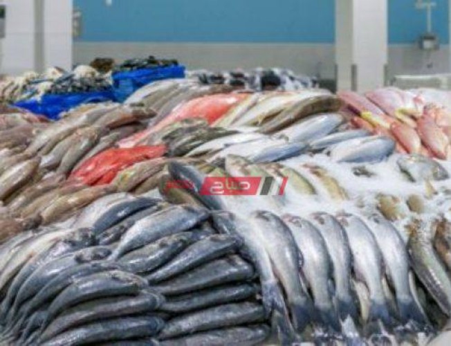ضبط أسماك مجمدة مجهولة المصدر قبل بيعها في الأسواق بمحافظة الإسكندرية
