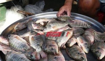 تعرف على أسعار السمك البلطي في المحافظات اليوم