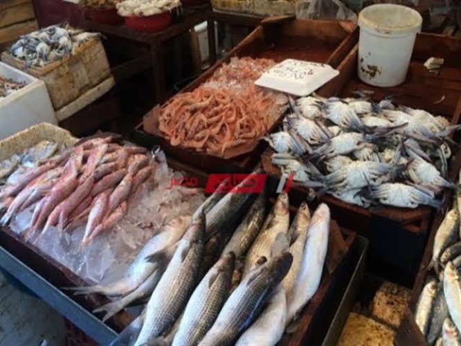 قشر بياض يسجل 80 جنيهًا في سوق جملة الأسماك اليوم