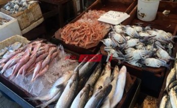 قشر بياض يسجل 80 جنيهًا في سوق جملة الأسماك اليوم