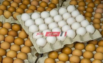 انخفاض أسعار البيض البلدي في أسواق المحافظات