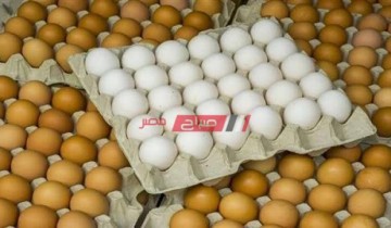 انخفاض أسعار البيض البلدي في أسواق المحافظات