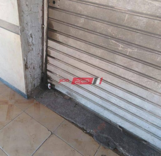 حملات إزالة إشغالات وغلق 4 محلات مخالفة فى محافظة الإسكندرية