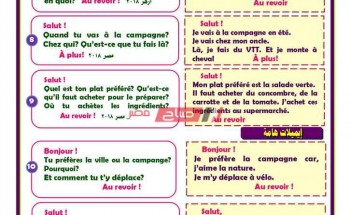 مراجعة ليلة الامتحان اللغة الفرنسية لطلاب الثانوية العامة 2020