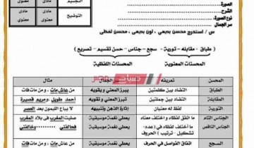 مذكرة مراجعة نهائية لغة عربية للصف الثالث الفني التجارى – امتحانات الدبلومات الفنية 2020