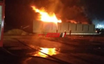 بالصورة السيطرة على حريق هائل نشب في مصنع نشارة خشب بدمياط الجديدة