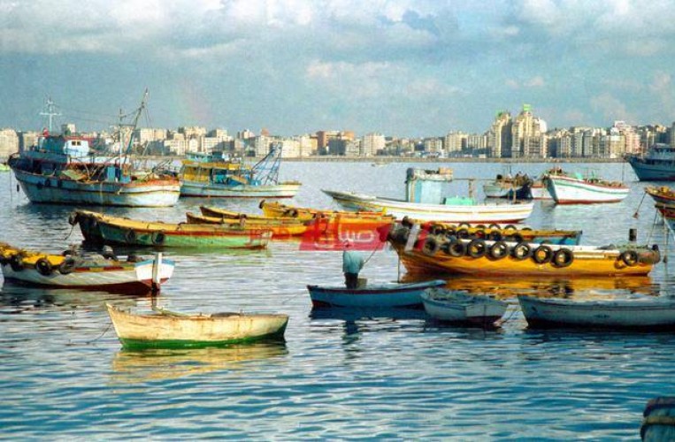 استمرار ارتفاع درجات الحرارة على الإسكندرية في رابع أيام عيد الأضحى