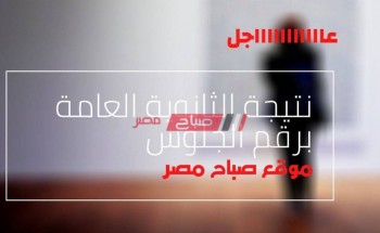 بالشرح التفصيلي من خلال الفيديو كيف تحصل على نتيجه الثانويه العامه في منتهى السهولة-موقع  صباح مصر.